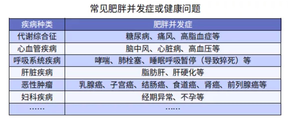 太胖被拒保怎么辦？
