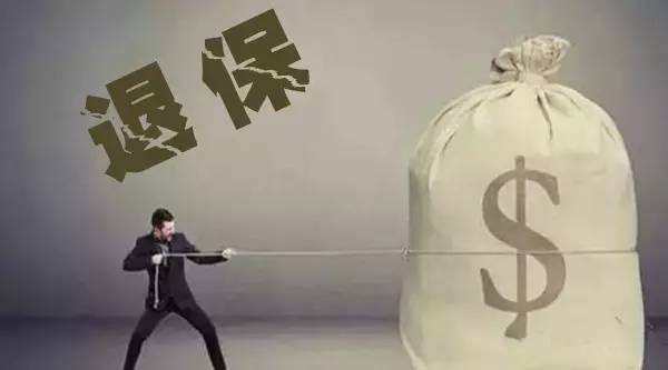 買(mǎi)的保險不想續保了能退嗎？