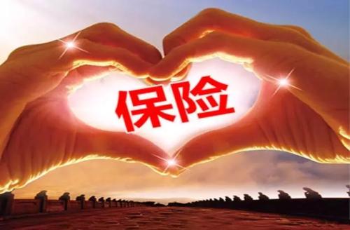 人壽重大疾病保險，哪種比較好？