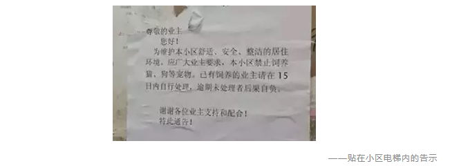 為什么不買(mǎi)保險就不讓養狗？
