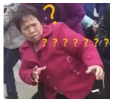 為什么不買(mǎi)保險就不讓養狗？