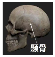 發(fā)生車(chē)禍如何快速理賠？