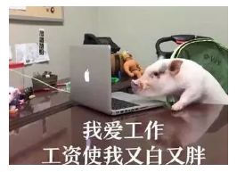 發(fā)生車(chē)禍如何快速理賠？