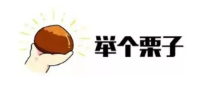 什么是年金轉換？