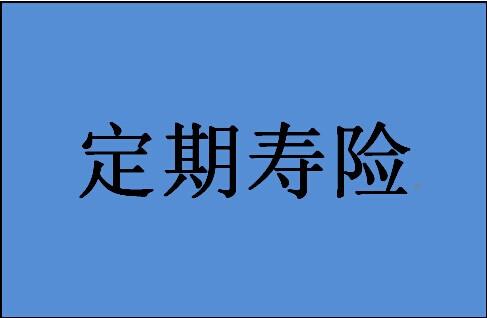 定期壽險怎么選比較好？