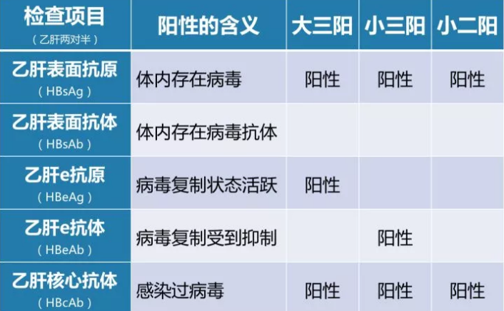 乙肝病毒攜帶者應該如何正確投保？