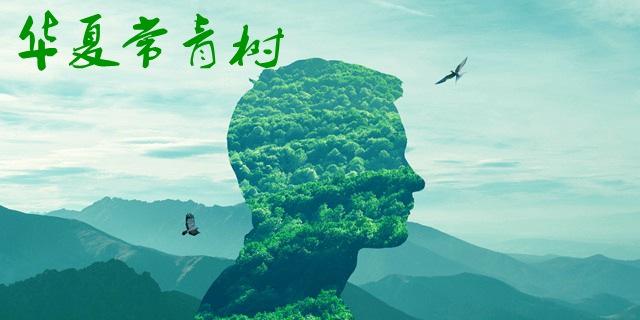 華夏常青樹(shù)多倍版和華夏福哪個(gè)好 包含自然身故嗎？